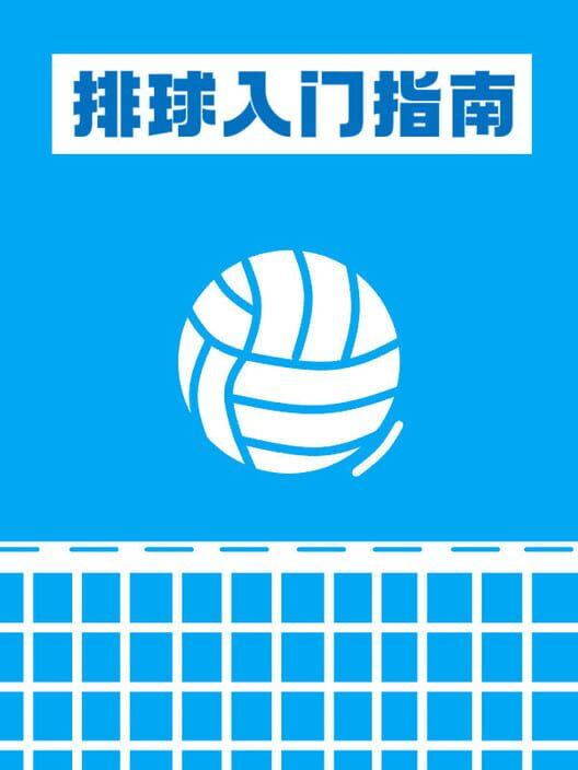 排球入门指南