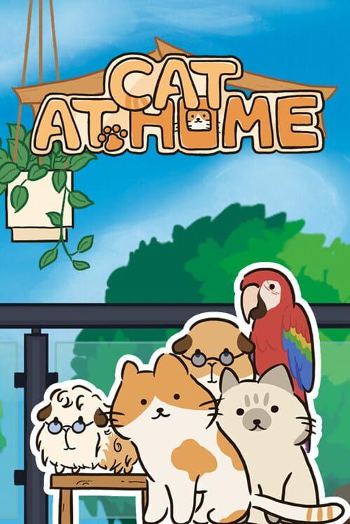 猫在家里
