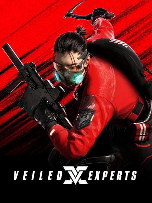 VEILED EXPERTS