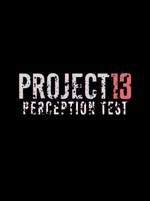PROJECT 13 Perception Test