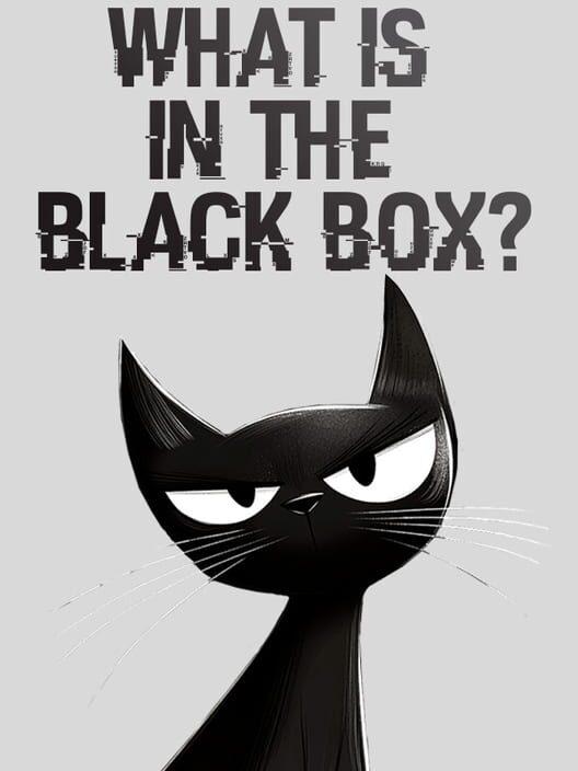 What is in the Black Box?