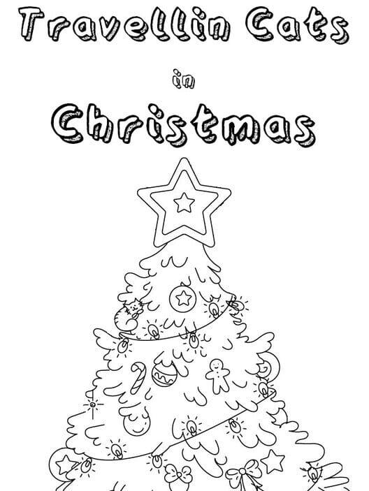 Travellin Cats in Christmas